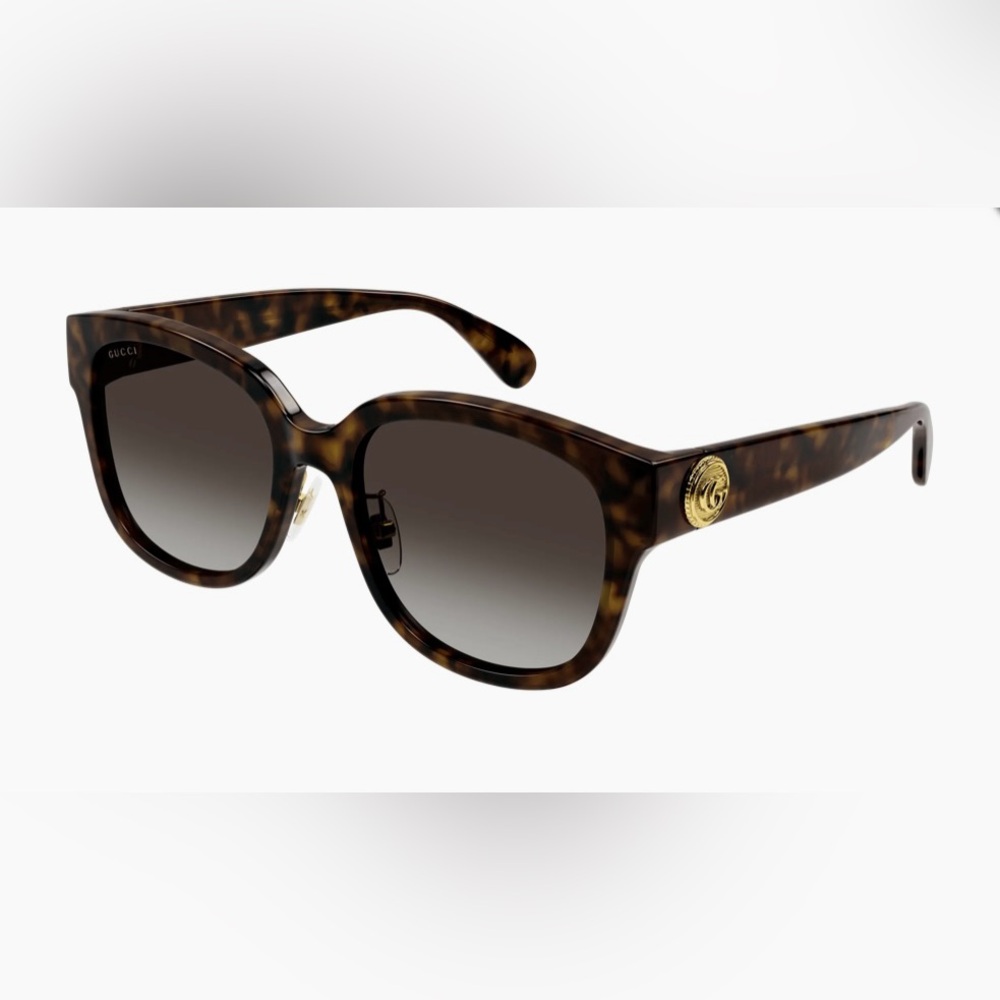 Tortoise Shell Sunglasses with Gold Detail